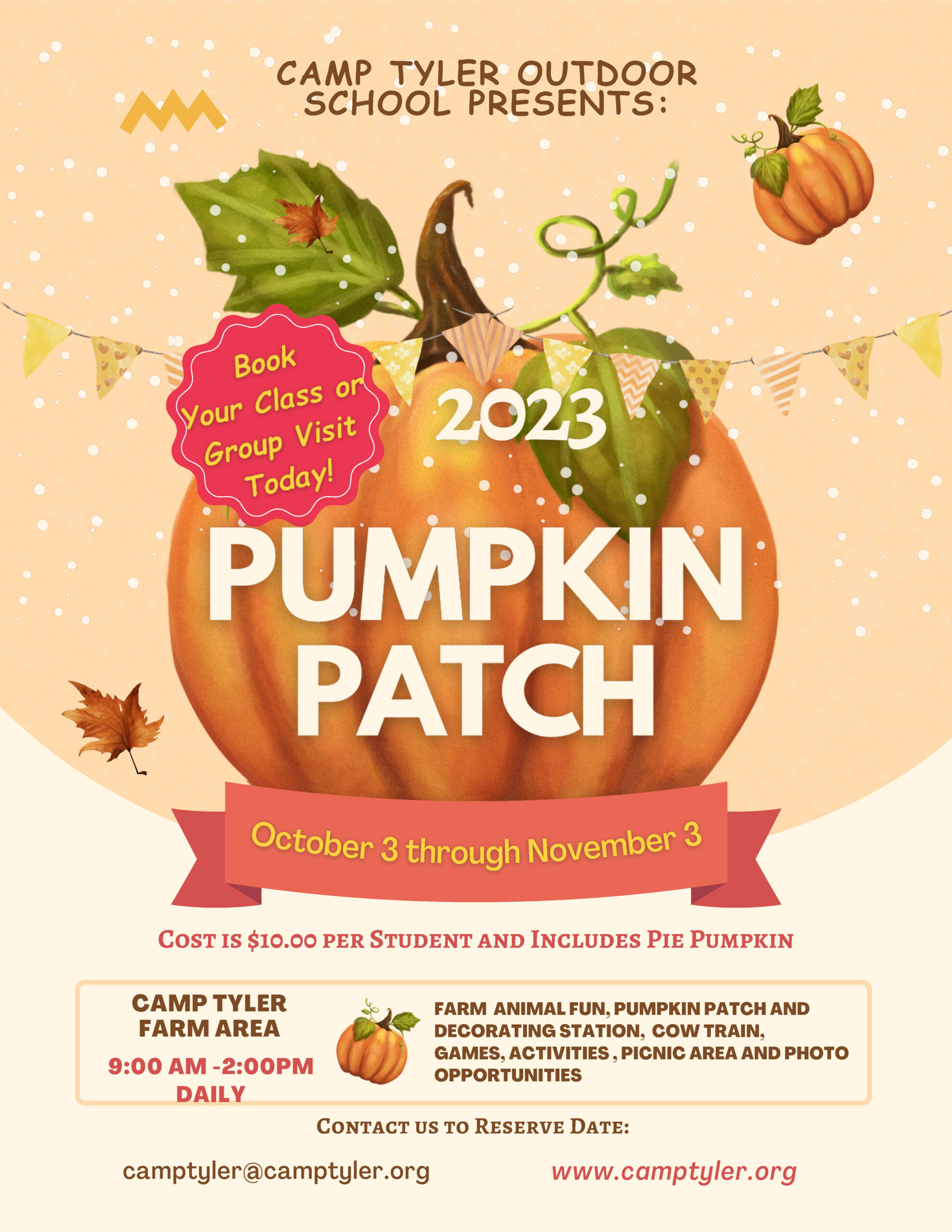 2023 Pumpkin Patch Flyer